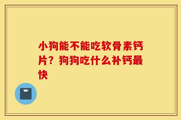 小狗能不能吃软骨素钙片?狗狗吃什么补钙快 小狗能不能吃软骨素钙片?狗狗吃什么补钙快