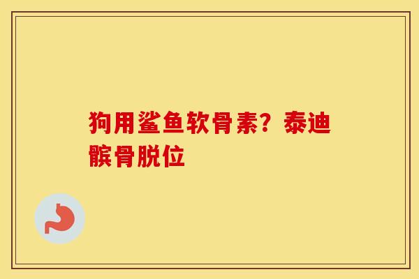狗用鲨鱼软骨素？泰迪髌骨脱位