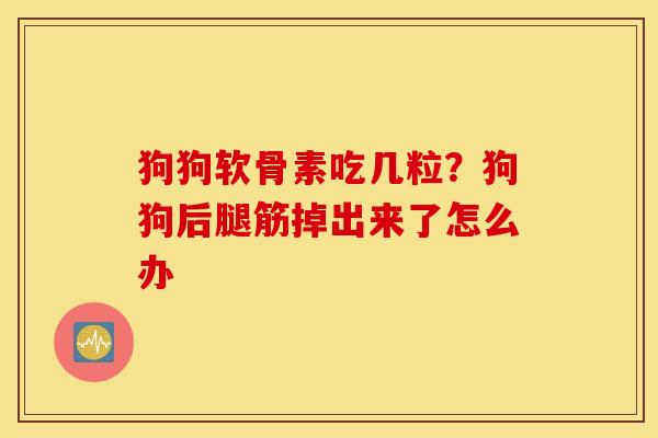狗狗软骨素吃几粒?狗狗后腿筋掉出来了怎么办 狗狗软骨素吃几粒?狗狗后腿筋掉出来了怎么办