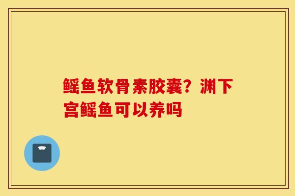 鳐鱼软骨素胶囊？渊下宫鳐鱼可以养吗