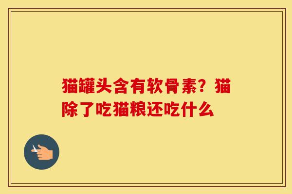猫罐头含有软骨素？猫除了吃猫粮还吃什么