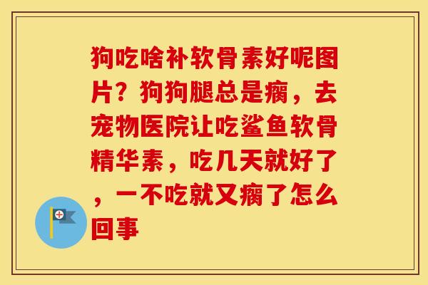 狗吃啥补软骨素好呢图片?狗狗腿总是瘸,去宠物医院让吃鲨鱼软骨精华素,吃几天就好了,一不吃就又瘸了怎么回事 狗吃啥补软骨素好呢图片?狗狗腿总是瘸,去宠物医院让吃鲨鱼软骨精华素,吃几天就好了,一不吃就又瘸了怎么回事