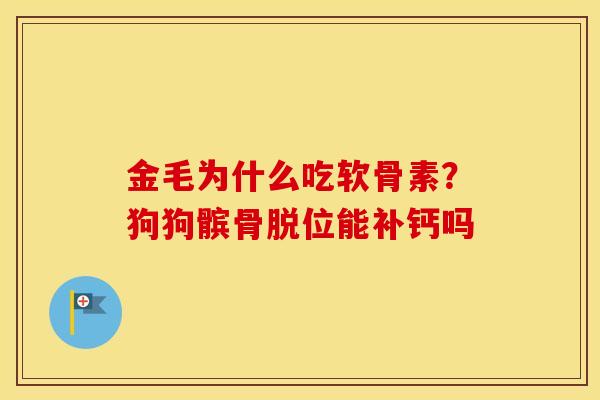 金毛为什么吃软骨素?狗狗髌骨脱位能补钙吗 金毛为什么吃软骨素?狗狗髌骨脱位能补钙吗