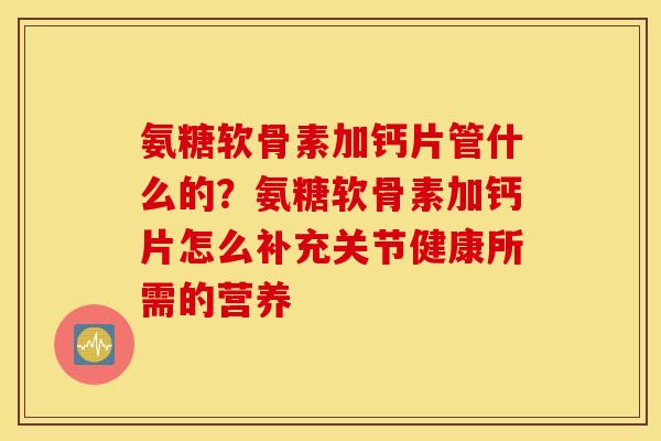 氨糖软骨素加钙片管什么的?氨糖软骨素加钙片怎么补充关节健康所需的营养 氨糖软骨素加钙片管什么的?氨糖软骨素加钙片怎么补充关节健康所需的营养