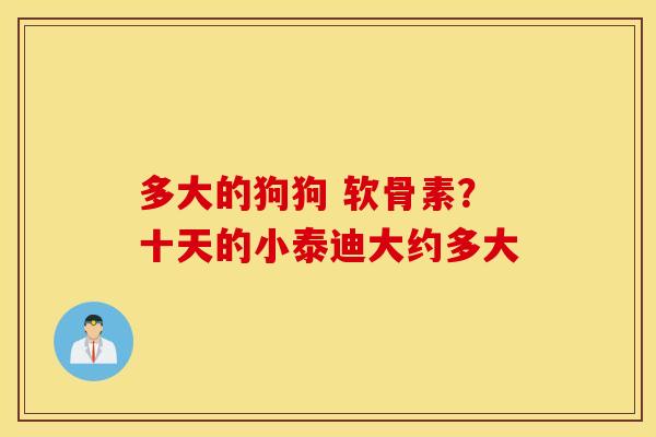 多大的狗狗 软骨素?十天的小泰迪大约多大 多大的狗狗 软骨素?十天的小泰迪大约多大