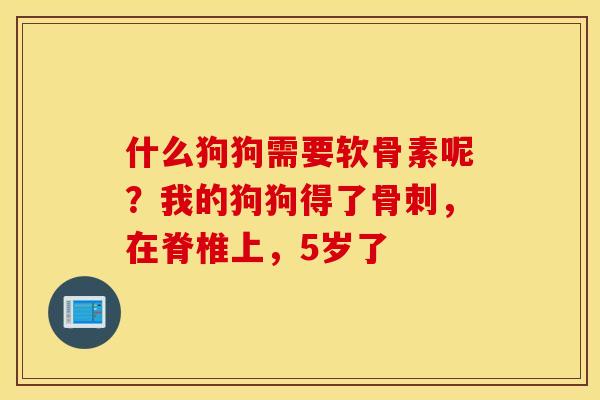 什么狗狗需要软骨素呢？我的狗狗得了，在脊椎上，5岁了