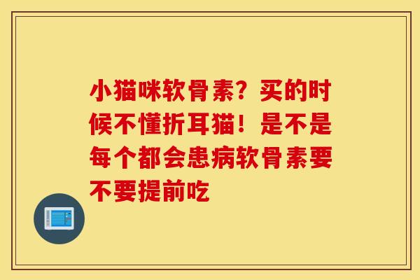 小猫咪软骨素?买的时候不懂折耳猫!是不是每个都会患软骨素要不要提前吃 小猫咪软骨素?买的时候不懂折耳猫!是不是每个都会患软骨素要不要提前吃