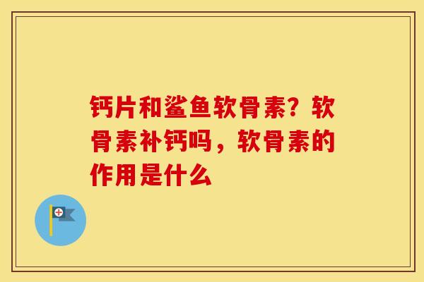 钙片和鲨鱼软骨素?软骨素补钙吗,软骨素的作用是什么 钙片和鲨鱼软骨素?软骨素补钙吗,软骨素的作用是什么