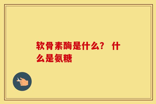 软骨素酶是什么？ 什么是氨糖
