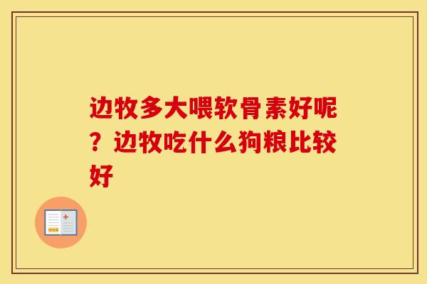 边牧多大喂软骨素好呢？边牧吃什么狗粮比较好