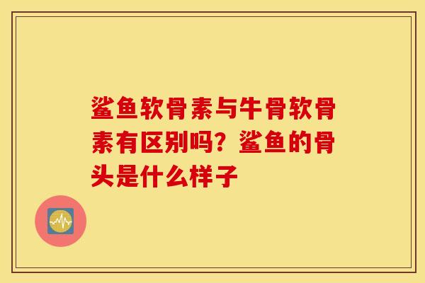 鲨鱼软骨素与牛骨软骨素有区别吗？鲨鱼的骨头是什么样子