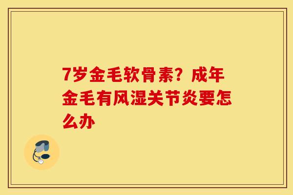7岁金毛软骨素?成年金毛有要怎么办 7岁金毛软骨素?成年金毛有要怎么办