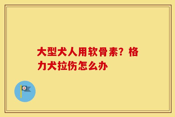 大型犬人用软骨素?格力犬拉伤怎么办 大型犬人用软骨素?格力犬拉伤怎么办