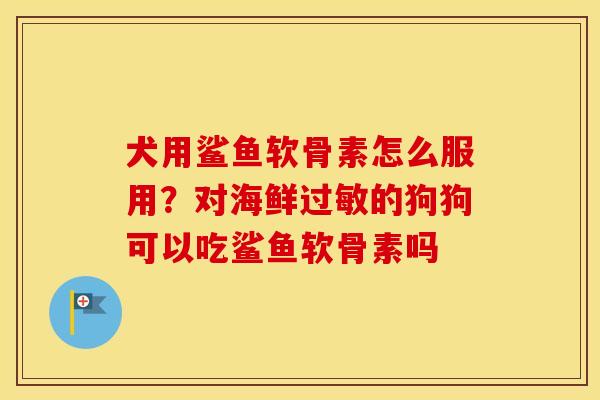 犬用鲨鱼软骨素怎么服用?对海鲜的狗狗可以吃鲨鱼软骨素吗 犬用鲨鱼软骨素怎么服用?对海鲜的狗狗可以吃鲨鱼软骨素吗