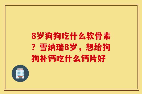 8岁狗狗吃什么软骨素？雪纳瑞8岁，想给狗狗补钙吃什么钙片好