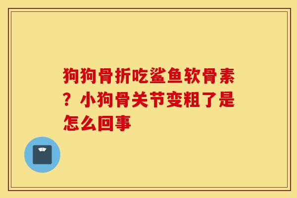 狗狗吃鲨鱼软骨素?小狗骨关节变粗了是怎么回事 狗狗吃鲨鱼软骨素?小狗骨关节变粗了是怎么回事
