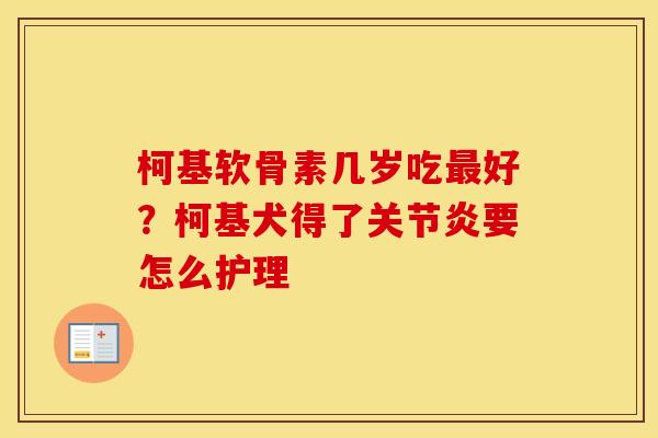 柯基软骨素几岁吃好?柯基犬得了要怎么护理 柯基软骨素几岁吃好?柯基犬得了要怎么护理