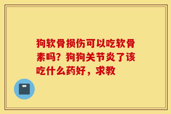 狗软骨损伤可以吃软骨素吗?狗狗了该吃什么药好,求教 狗软骨损伤可以吃软骨素吗?狗狗了该吃什么药好,求教