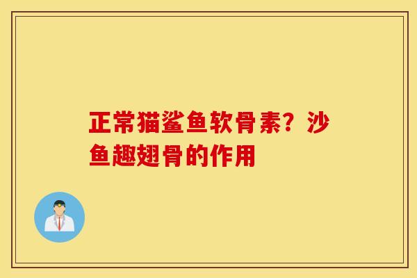 正常猫鲨鱼软骨素?沙鱼趣翅骨的作用 正常猫鲨鱼软骨素?沙鱼趣翅骨的作用