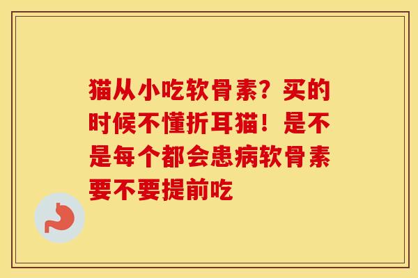 猫从小吃软骨素?买的时候不懂折耳猫!是不是每个都会患软骨素要不要提前吃 猫从小吃软骨素?买的时候不懂折耳猫!是不是每个都会患软骨素要不要提前吃