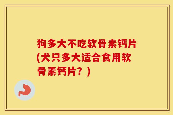 狗多大不吃软骨素钙片(犬只多大适合食用软骨素钙片？)