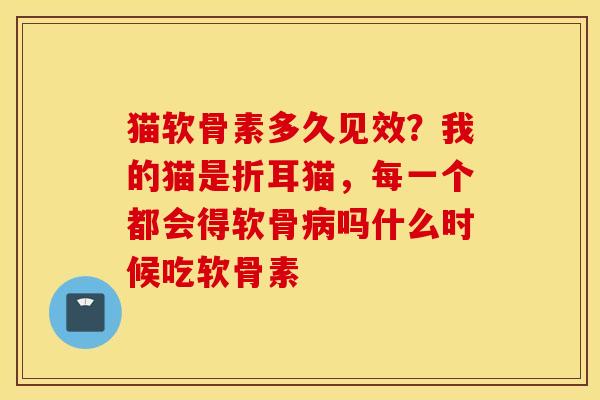 猫软骨素多久见效?我的猫是折耳猫,每一个都会得软骨吗什么时候吃软骨素 猫软骨素多久见效?我的猫是折耳猫,每一个都会得软骨吗什么时候吃软骨素