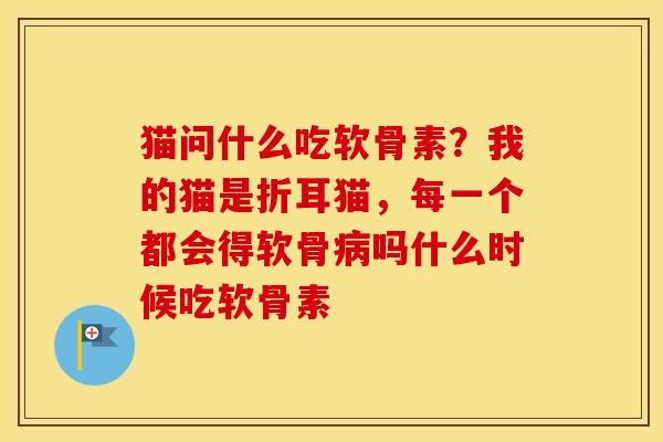 猫问什么吃软骨素?我的猫是折耳猫,每一个都会得软骨吗什么时候吃软骨素 猫问什么吃软骨素?我的猫是折耳猫,每一个都会得软骨吗什么时候吃软骨素