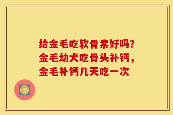 给金毛吃软骨素好吗?金毛幼犬吃骨头补钙,金毛补钙几天吃一次 给金毛吃软骨素好吗?金毛幼犬吃骨头补钙,金毛补钙几天吃一次