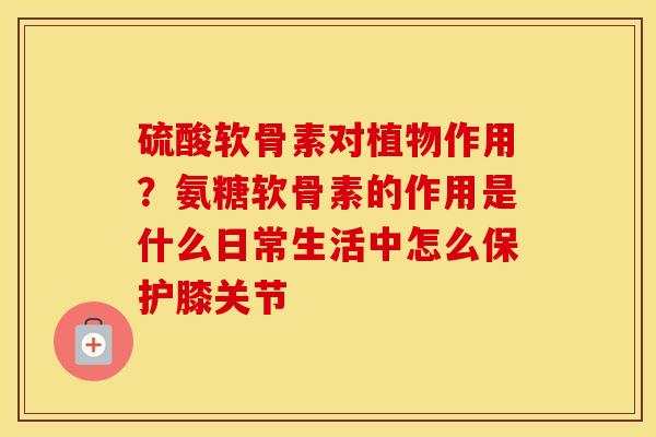 硫酸软骨素对植物作用?氨糖软骨素的作用是什么日常生活中怎么保护膝关节 硫酸软骨素对植物作用?氨糖软骨素的作用是什么日常生活中怎么保护膝关节