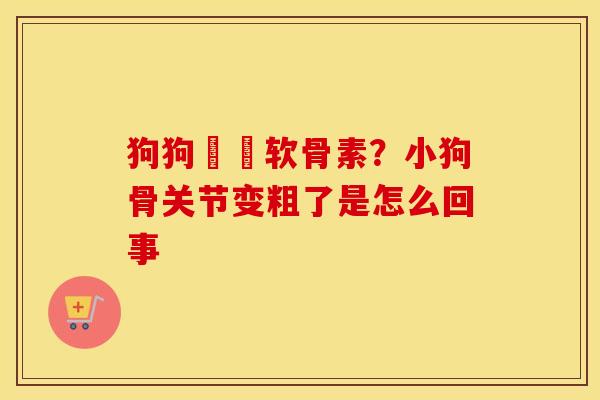 狗狗鯊魚软骨素？小狗骨关节变粗了是怎么回事