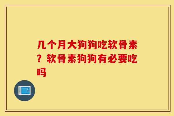 几个月大狗狗吃软骨素?软骨素狗狗有必要吃吗 几个月大狗狗吃软骨素?软骨素狗狗有必要吃吗