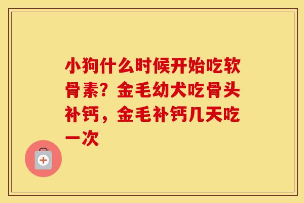 小狗什么时候开始吃软骨素?金毛幼犬吃骨头补钙,金毛补钙几天吃一次 小狗什么时候开始吃软骨素?金毛幼犬吃骨头补钙,金毛补钙几天吃一次