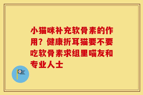 小猫咪补充软骨素的作用？健康折耳猫要不要吃软骨素求组里喵友和专业人士