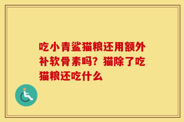 吃小青鲨猫粮还用额外补软骨素吗?猫除了吃猫粮还吃什么 吃小青鲨猫粮还用额外补软骨素吗?猫除了吃猫粮还吃什么