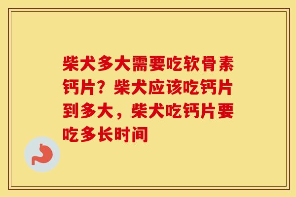 柴犬多大需要吃软骨素钙片?柴犬应该吃钙片到多大,柴犬吃钙片要吃多长时间 柴犬多大需要吃软骨素钙片?柴犬应该吃钙片到多大,柴犬吃钙片要吃多长时间