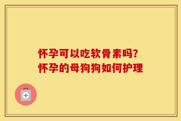 怀孕可以吃软骨素吗？怀孕的母狗狗如何护理