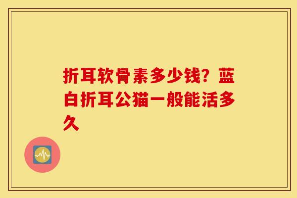 折耳软骨素多少钱?蓝白折耳公猫一般能活多久 折耳软骨素多少钱?蓝白折耳公猫一般能活多久