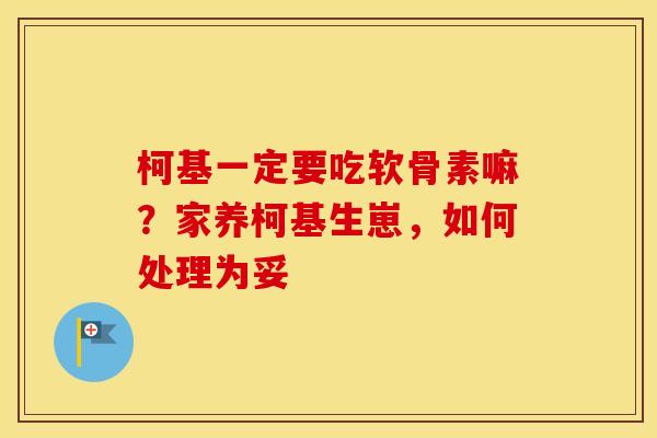 柯基一定要吃软骨素嘛?家养柯基生崽,如何处理为妥 柯基一定要吃软骨素嘛?家养柯基生崽,如何处理为妥