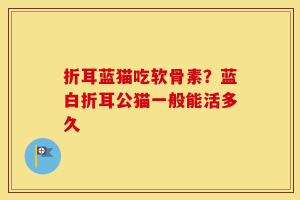 折耳蓝猫吃软骨素?蓝白折耳公猫一般能活多久 折耳蓝猫吃软骨素?蓝白折耳公猫一般能活多久