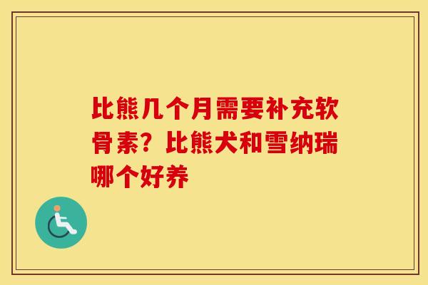 比熊几个月需要补充软骨素?比熊犬和雪纳瑞哪个好养 比熊几个月需要补充软骨素?比熊犬和雪纳瑞哪个好养