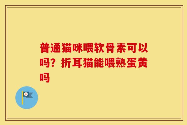 普通猫咪喂软骨素可以吗?折耳猫能喂熟蛋黄吗 普通猫咪喂软骨素可以吗?折耳猫能喂熟蛋黄吗