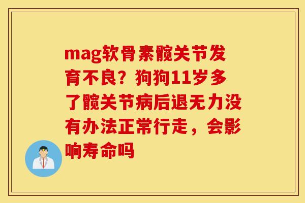 mag软骨素髋关节发育不良？狗狗11岁多了髋关节后退无力没有办法正常行走，会影响寿命吗