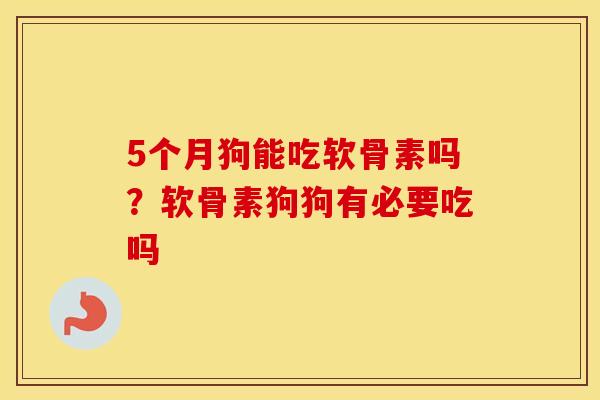 5个月狗能吃软骨素吗？软骨素狗狗有必要吃吗