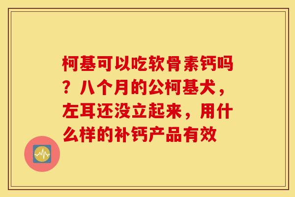 柯基可以吃软骨素钙吗？八个月的公柯基犬，左耳还没立起来，用什么样的补钙产品有效