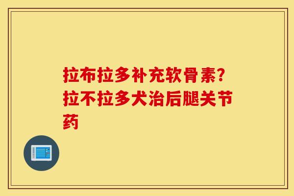 拉布拉多补充软骨素？拉不拉多犬后腿关节药