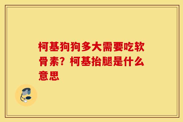 柯基狗狗多大需要吃软骨素?柯基抬腿是什么意思 柯基狗狗多大需要吃软骨素?柯基抬腿是什么意思