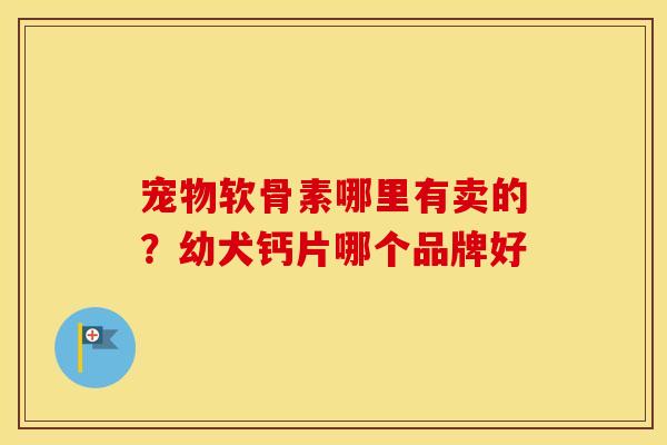 宠物软骨素哪里有卖的？幼犬钙片哪个品牌好