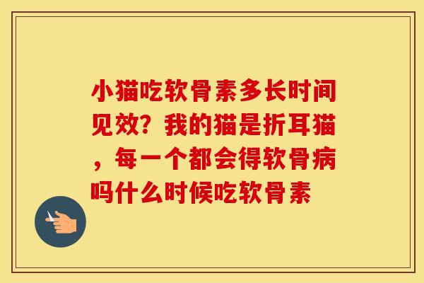 小猫吃软骨素多长时间见效?我的猫是折耳猫,每一个都会得软骨吗什么时候吃软骨素 小猫吃软骨素多长时间见效?我的猫是折耳猫,每一个都会得软骨吗什么时候吃软骨素