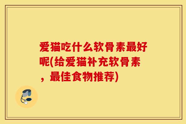 爱猫吃什么软骨素好呢(给爱猫补充软骨素，佳食物推荐)