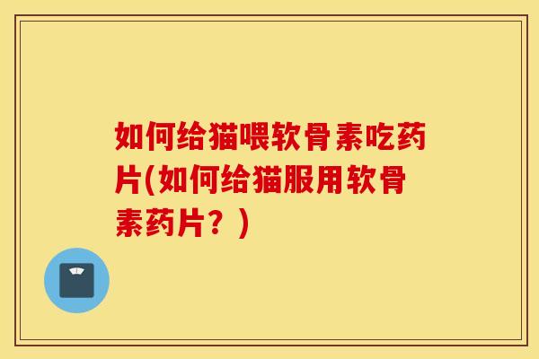 如何给猫喂软骨素吃药片(如何给猫服用软骨素药片？)